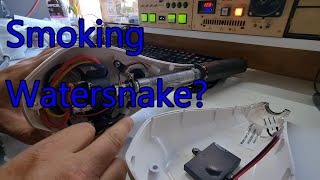 I Bought A Watersnake Electric motor [upl. by Terry]