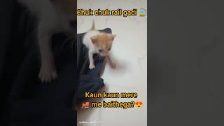 Tintins funny moments🤣🤣 youtubeshorts shortsfeed shortvideo shorts pets ahatamatar [upl. by Gisser665]