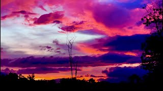 colorful sky nature 😊 [upl. by Minsk291]