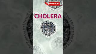 CHOLERA  cholera ricewaterstool choleratreatment signampsymptomsofcholera shortsvideo shorts [upl. by Anoniw967]