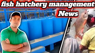 fish hatchery management  hatchery management  how to start fish farming business fishinfo [upl. by Llenad155]