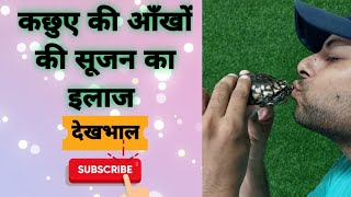 turtle eyes swallow problem care कछुए की आँखों की सूजन देखभाल।। turtle petcare aquarium [upl. by Hama633]