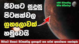 පෘථිවිය වැනි තවත් ග්‍රහලොවක් හමුවෙයි  Gliese 12 b Exoplanet [upl. by Leodora427]