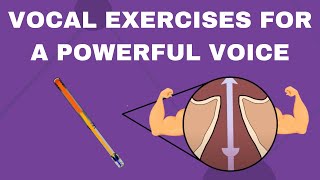 Vocal Exercises For A Powerful Voice With a Straw [upl. by At357]