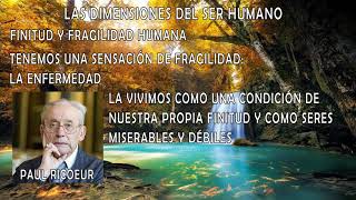 Las dimensiones del ser humano [upl. by Eceinehs276]