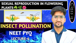 Sexual Reproduction in Flowering Plants Lec 6  Class 12  NEET 2025 ❤️ Talim Hussain [upl. by Cohbath]