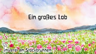 DemeterImkerei Ein großes Lob zum Anbau der Durchwachsenen Silphie [upl. by Uttica]