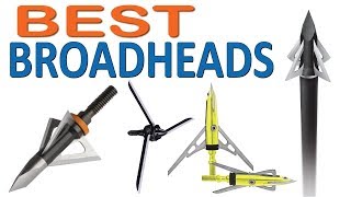 7 Best Broadheads of 2020  Top 7 Broadheads Reviews 2020 [upl. by Wallack]