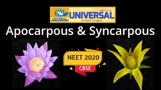 Difference between Apocarpous amp Syncarpous ovary NEET amp CBSE [upl. by Etnoid]