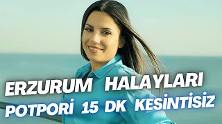 Erzurum Halayları  Potpori  15 Dk Kesintisiz  Aylin Demir [upl. by Amliw153]