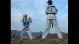 Taekwondo  Les coups de pied de base [upl. by Airtemak781]