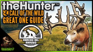 FIND YOUR GREAT ONE amp DIAMONDS ON RANCHO DEL ARROYO Whitetail Drink Zone Guide Call of the wild [upl. by Dranik918]