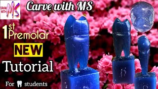 Maxillary First Premolar carving  Maxillary 1st premolar carving  tutorial  wax carving [upl. by Icul]