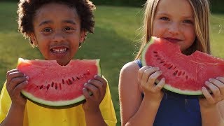 Didaktische DVD Gesunde Ernährung und Zahnpflege tabletfähig [upl. by Lleruj]