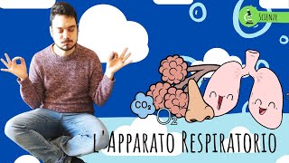 LAPPARATO RESPIRATORIO  Le scienze spiegate ai bambini di scuola primaria [upl. by Asilem384]