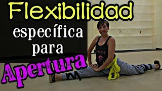 FLEXIBILIDAD para PIERNAS Artes Marciales RUTINA DE CLASE [upl. by Sulohcin]