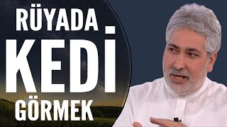 Rüyada Kedi Görmek Ne Anlama Gelir  Mehmet Emin Kırgil [upl. by Cunningham147]