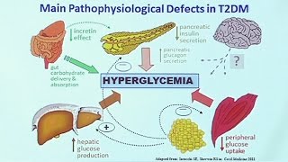 Making Sense of Diabetic Medications [upl. by Adnilg]