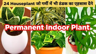 🔴 24 Houseplant In India  Permanent Indoor Plant Name  Indoor Plants  Indoor Plant For Beginners [upl. by Wystand959]