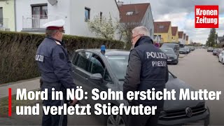 Mord in NÖ Sohn ersticht Mutter und verletzt Stiefvater  kronetv NEWS [upl. by Sunil]