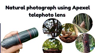 Apexel 18x telescope Zoom lens for mobliephone videography Natural beauty video  sri lanka nature [upl. by Intyre706]