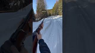 Shooting the inheritance ￼ gun rifle shotgun 410 firearms boltactionrifle boltaction ammo [upl. by Brina]