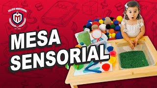 💚 Actividades SENSORIALES para niños  Montessori [upl. by Ynehteb]