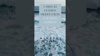 1Minute Guided Meditation  Calming Anxiety [upl. by Senoj405]