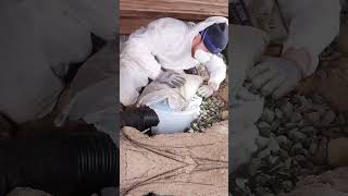 How to Install a Sump Pump [upl. by Kirtap928]