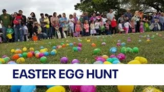 Texas sized Easter egg hunt with over 50000 eggs  FOX 7 Austin [upl. by Stag54]