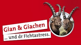 Gian und Giachen Baumgrenzen sind unerbärmlich [upl. by Eustatius953]