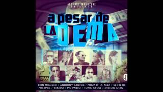 A Pesar De La Dema  Don Miguelo Ft Anthony Santo Toxic Crow  Vakero  Mozart Vakero y Mas [upl. by Odab]