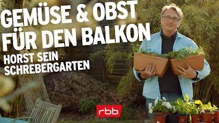 Gemüse und Obst auf dem Balkon anpflanzen  Horst sein Schrebergarten [upl. by Elo]