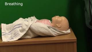 Neonatal Resuscitation  Demonstration [upl. by Itsym]