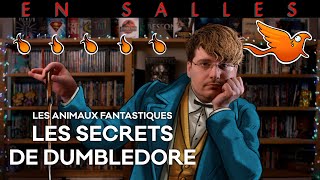 Vlog n°707  Les Animaux Fantastiques  Les Secrets de Dumbledore [upl. by Ines]