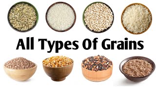 All Types Of Grains Different Types Of Grains With Pictures And Names In EnglishGrains Vocabulary [upl. by Isbella]