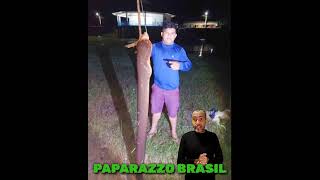 Poraquê de 2 metros é pescado no Igarapé Preto em Cruzeiro do Sul Acre [upl. by Amerd]