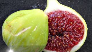 Fig varieties of Wolfskill orchard Davis California [upl. by Eisele256]