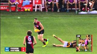 Round 2 AFL  Essendon v Hawthorn Highlights [upl. by Euqilegna412]