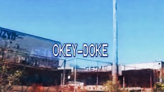 Dzon  Okeydoke lyric video [upl. by Narej]