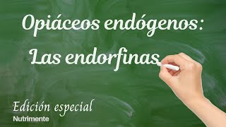 Opiáceos endógenos Las ENDORFINAS [upl. by Alister57]