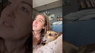 This Dog Loves Singing With His Owner [upl. by Sabrina]