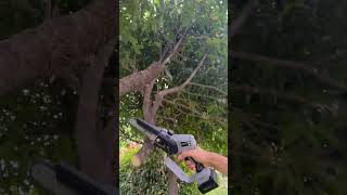 SC5805 New best selling cheap 500W cordless chainsaw with 168V batteries electric pruning saw [upl. by Eiroj]