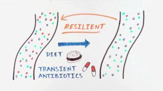 Enterome the gut microbiome and its impact on our health [upl. by Grosz]