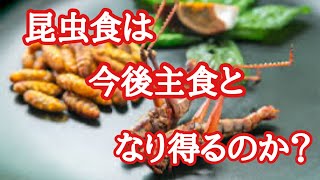 昆虫食は、本当に未来の主食になるのか？ [upl. by Agathe]