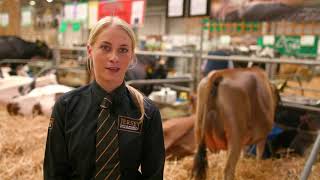 UK Dairy Day 2019 Cattle Show Moovie [upl. by Selimah546]