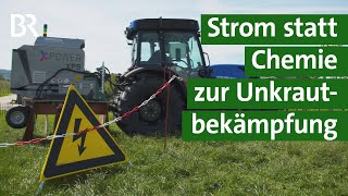 Unkraut vernichten ohne Chemie  wie gut funktioniert Unkrautbekämpfung mit Strom  Unser Land  BR [upl. by Isawk]