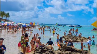 Porto De Galinhas PE Preços Da Comida Na Praia E Pousadas Pé Na Areia Praia Lotada [upl. by Mohun877]