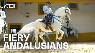 Something for the bucket list The 👑 Andalusian School of Equestrian Art RIDE presented by Longines [upl. by Hoffert]