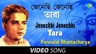 Jenechhi Jenechhi Tara  Shyama Sangeet  Bengali Devotional Song  Pannalal Bhattacharya [upl. by Cattan]